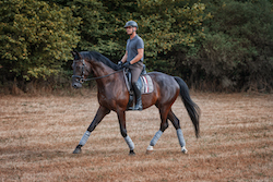 Christoph auf Pferd
